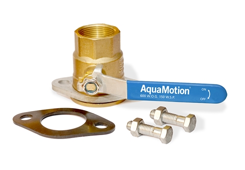w/ valve & 10' Cord AquaMotion AM3-SUCV1L Circulator Pump Stainless Steel 